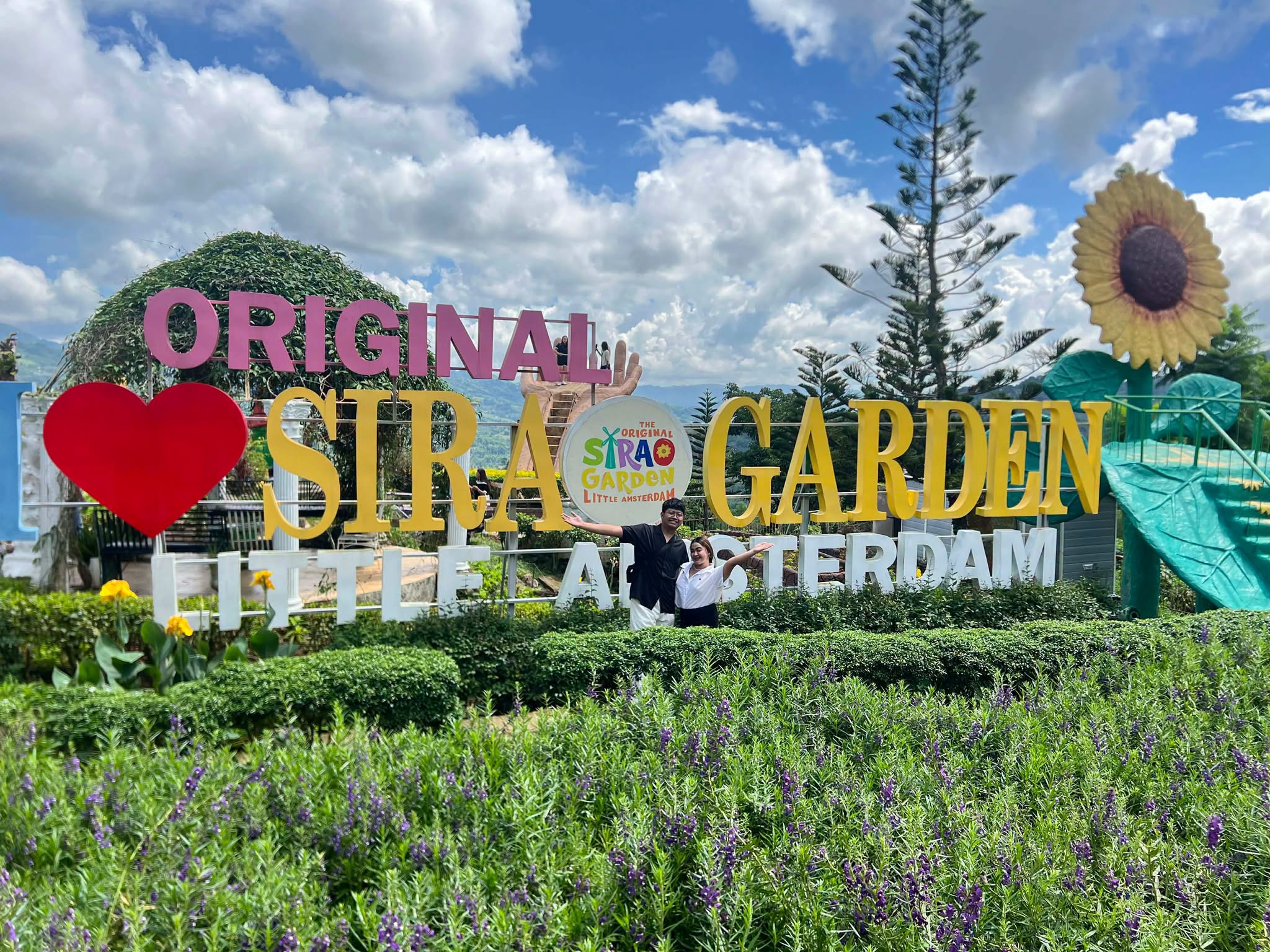 Guest photo