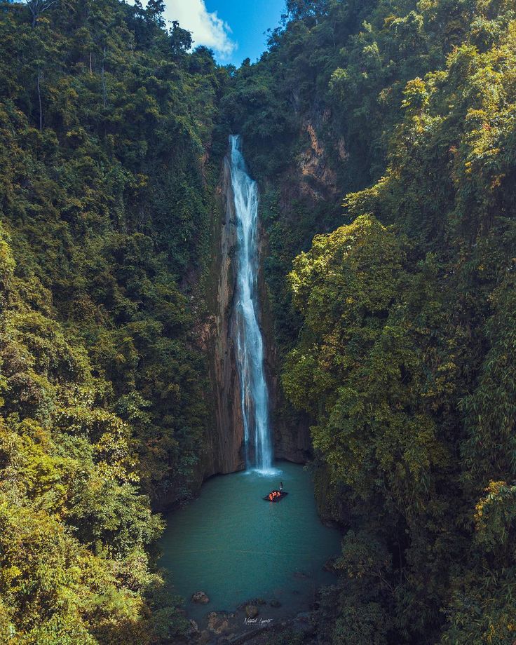 Moalboal Turtles, Sardines, and Mantayupan Falls