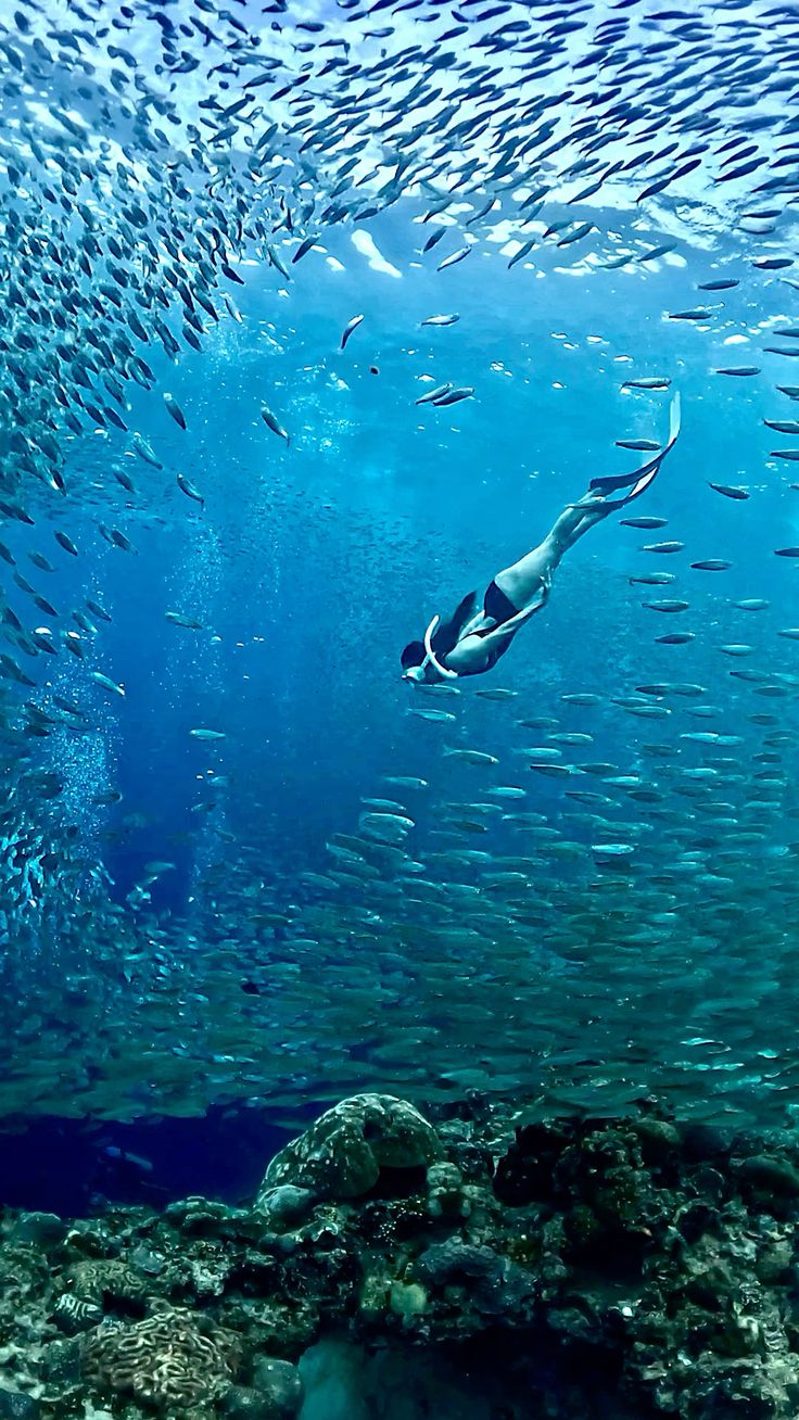 Moalboal with Pescador Island