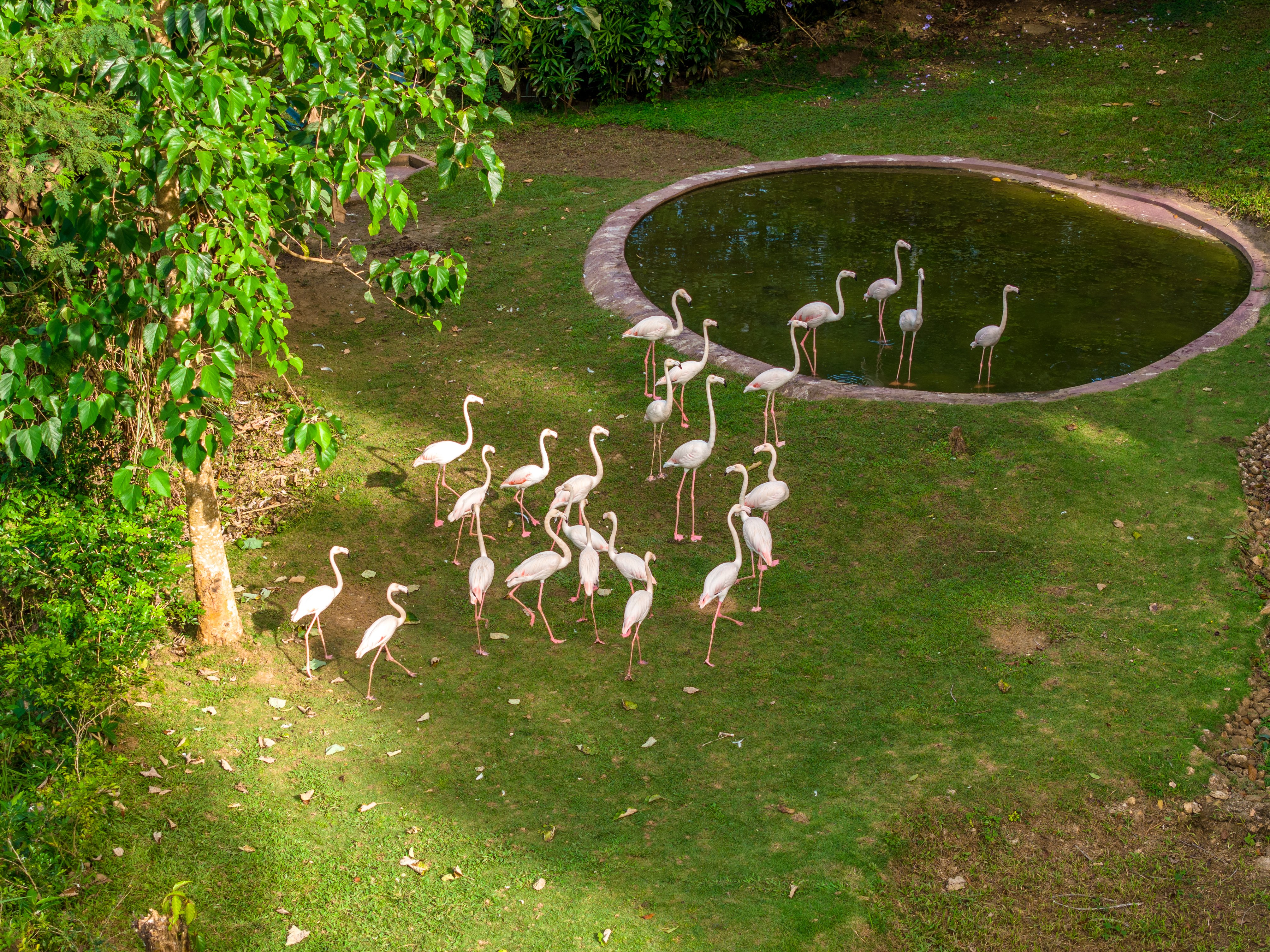 Cebu Safari Day Tour