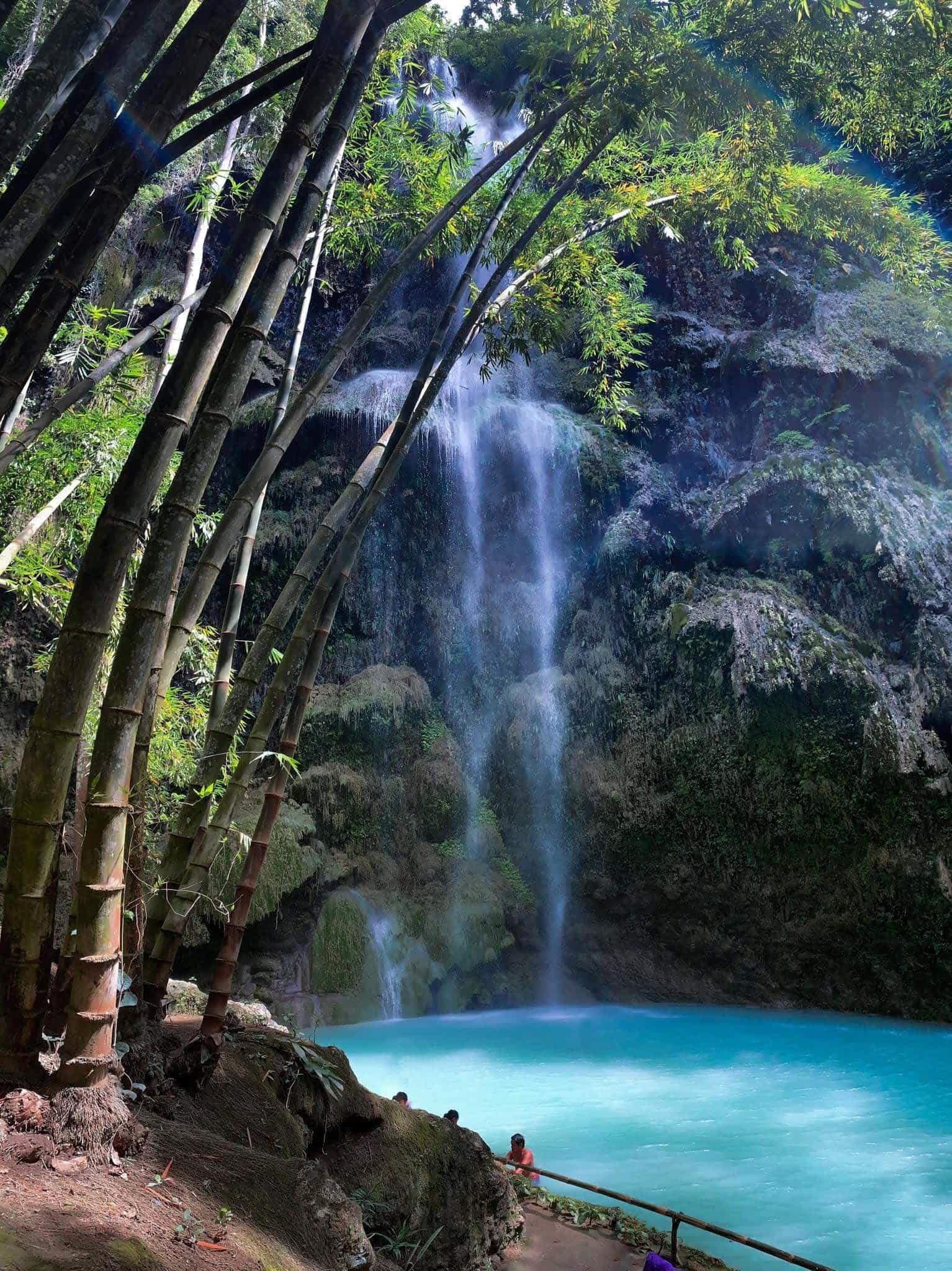 3Days 2nights City, Moalboal + Oslob