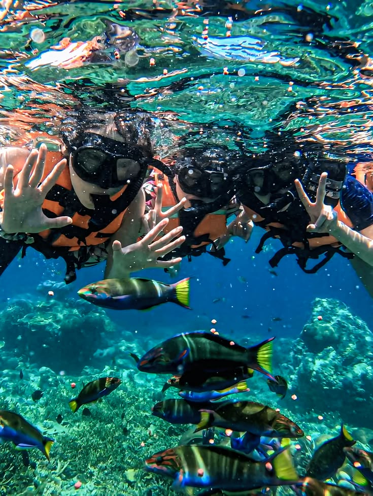Discover Bohol in 3 Days: Chocolate Hills, Countryside & Island Hopping