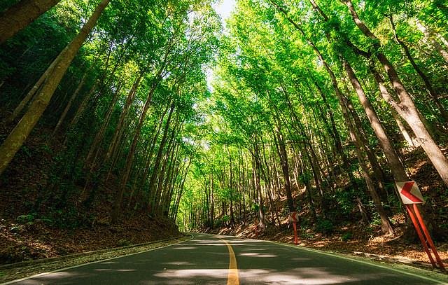 Bohol Full Day Tour Package from Cebu with Loboc River Cruise Lunch